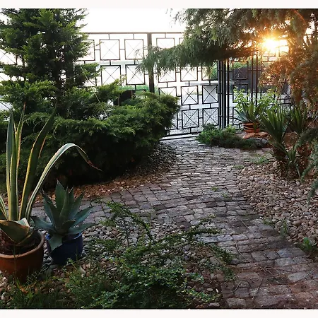 Raluca 게스트하우스 데포리노드